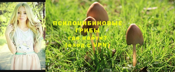 спайс Навашино