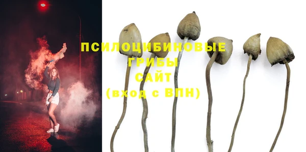 эйфоретик Нея