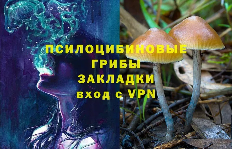 МЕГА вход  Котельниково  Псилоцибиновые грибы Psilocybine cubensis 